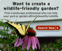 Certify your yard today!